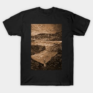 Woman on the Rocky Shore! T-Shirt